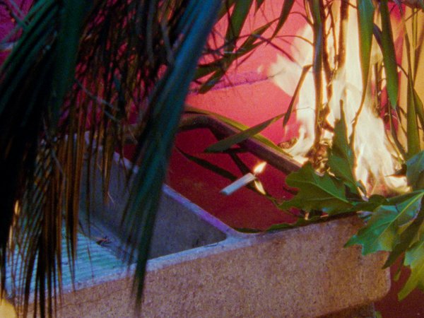 “Reluctant Gardener”